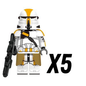 5pcs