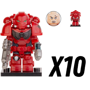 10pcs