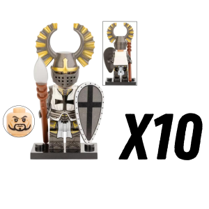10pcs