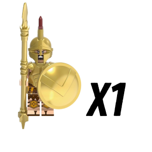 1pcs