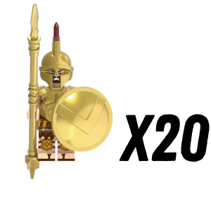 20pcs