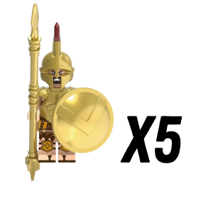 5pcs