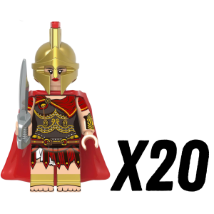 20pcs