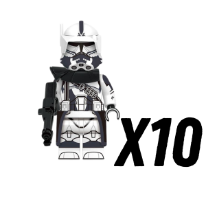 10pcs