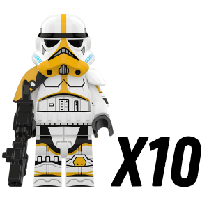 10pcs