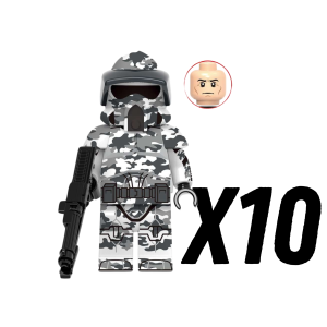 10pcs