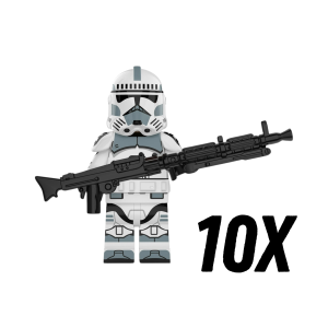10pcs