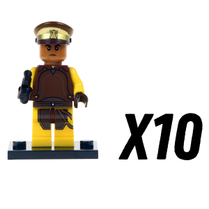 10pcs