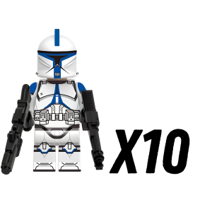 10pcs