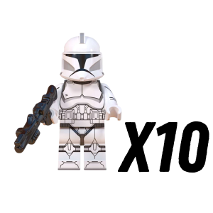 10pcs