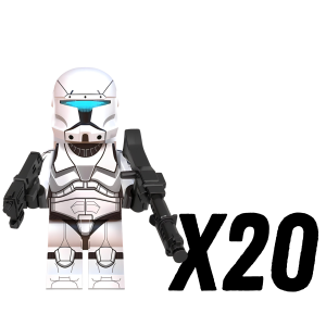 20pcs