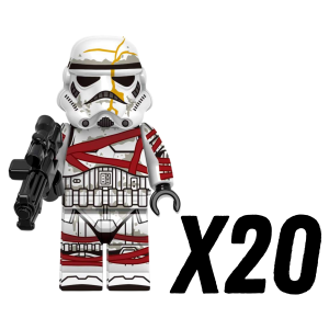 20pcs